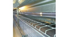 pp conveyor belt, manure conveyor belt, manure removal belt, poultry cage belt, chicken farm