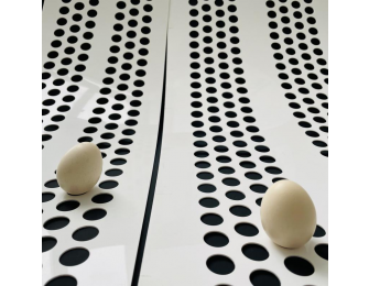 PP conveyor belt for egg collection system alt=