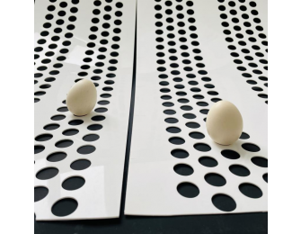 PP conveyor belt for egg collection system alt=