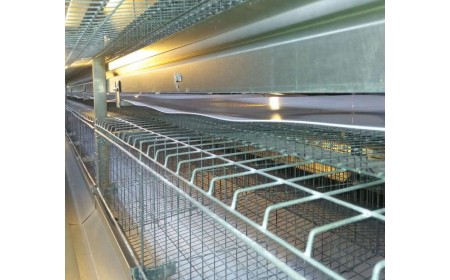 PP/PE Poultry Manure Conveyor Belts For Chicken Farm 